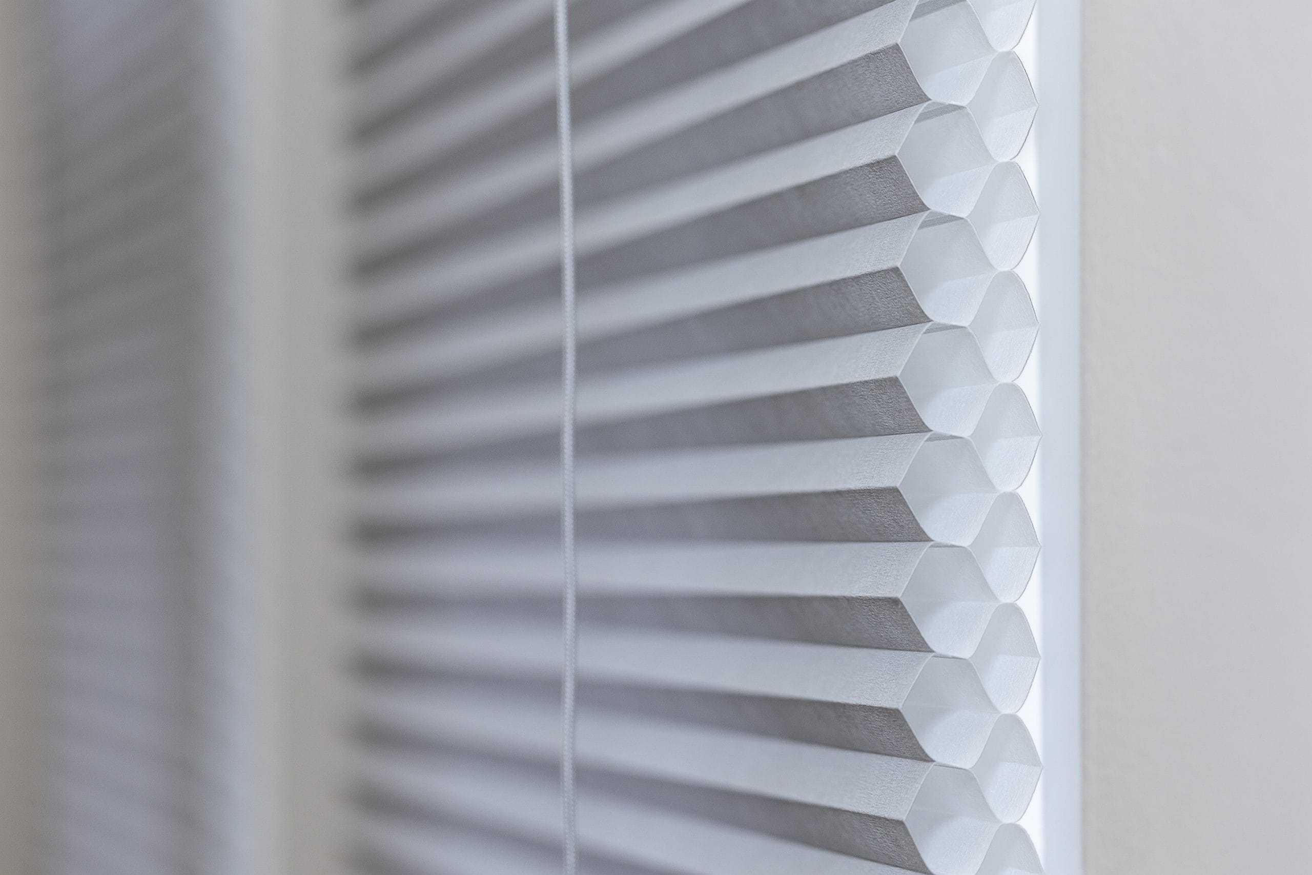 HONEYCOMB BLINDS